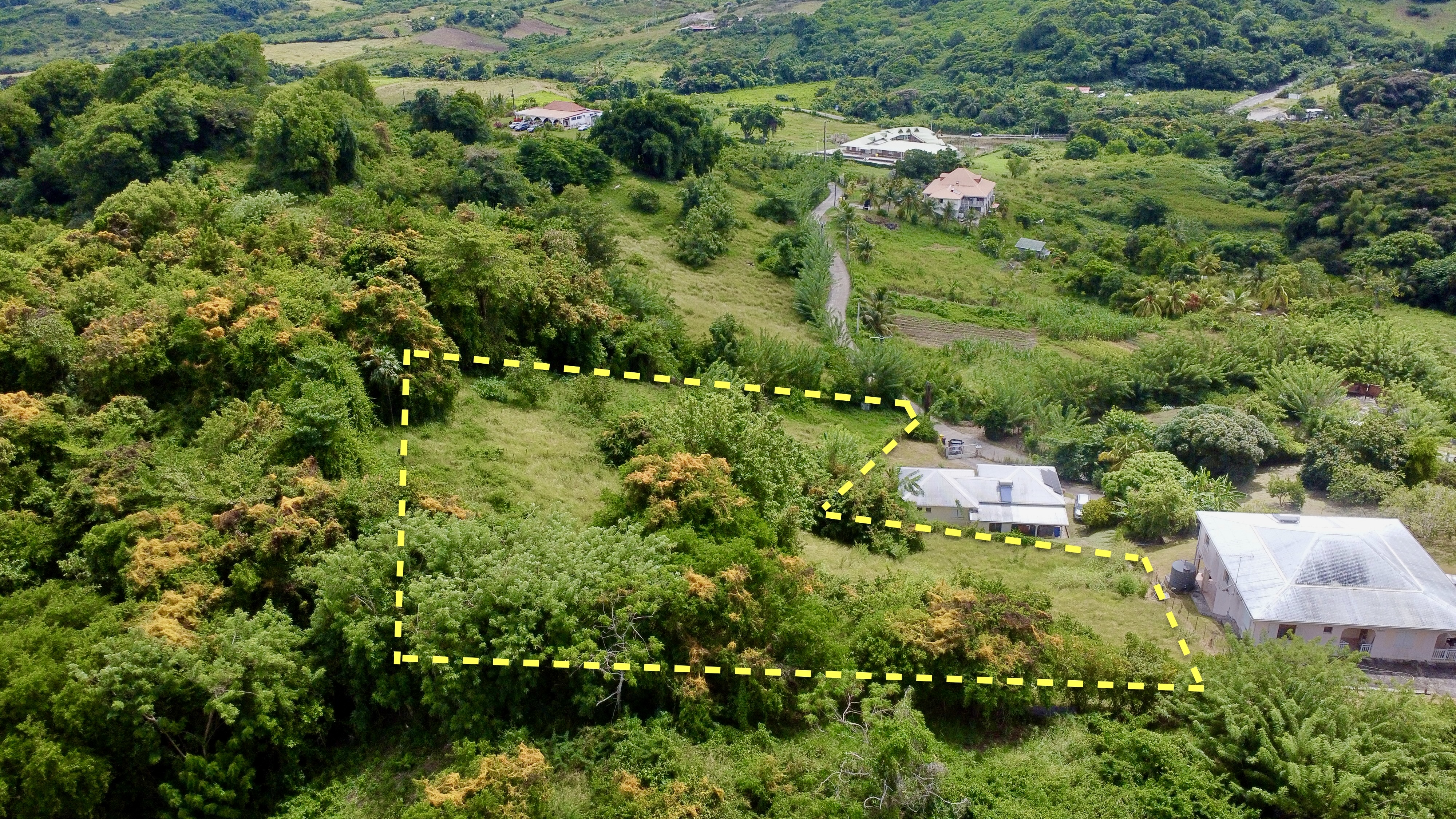 Terrain constructible de 3 361 m² au Marin