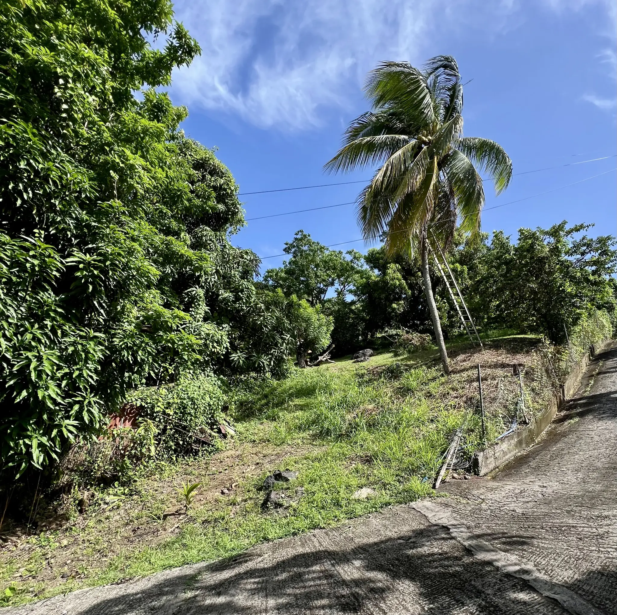 Terrain nu constructible de 815m²