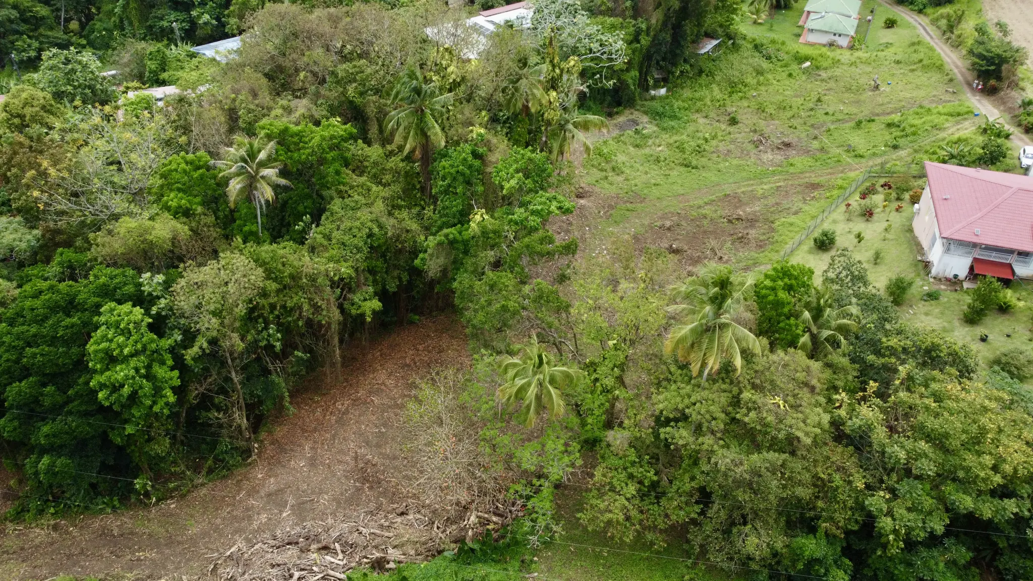 Terrain nu constructible - Rivière-Pilote, Concorde